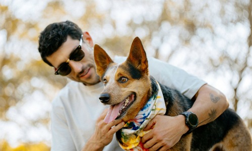 a person and a dog in a park
