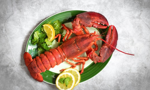 lobster on a plate