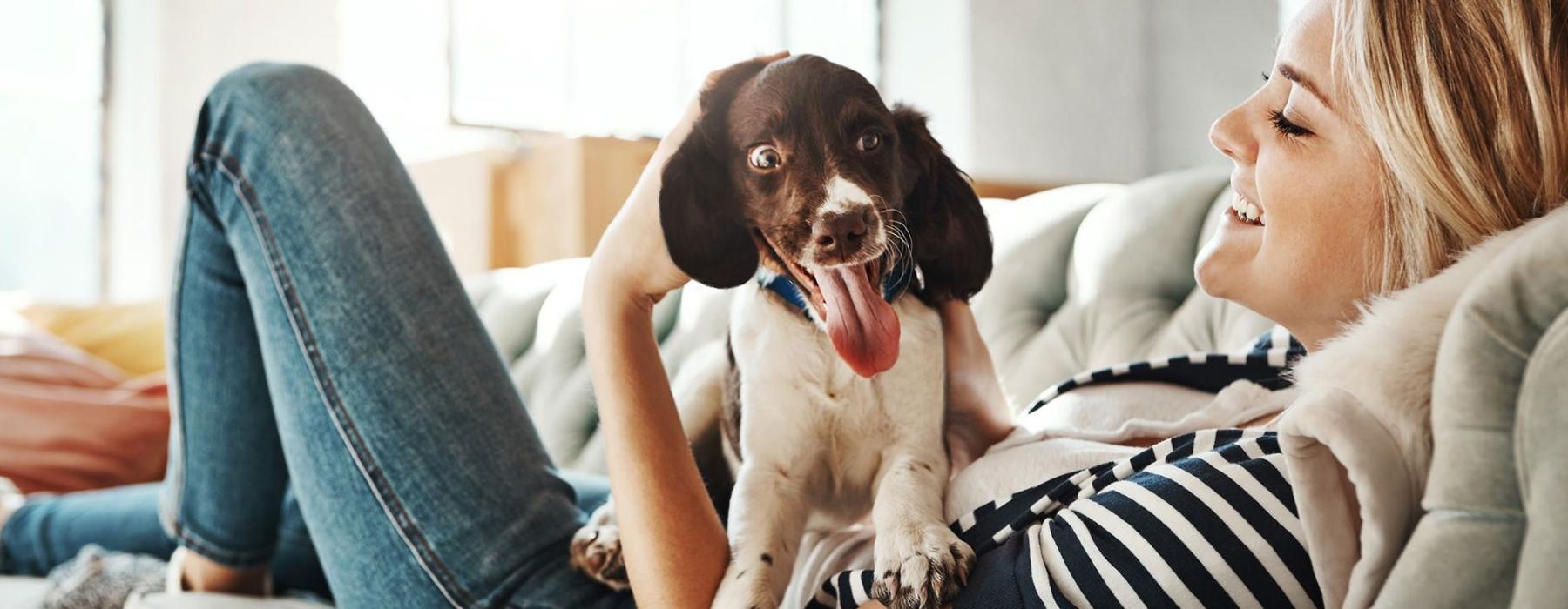 woman lies on a couch and pets her dog